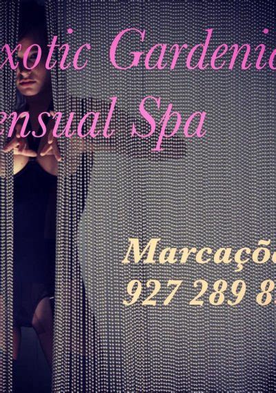 Erotic massage Porto Belo